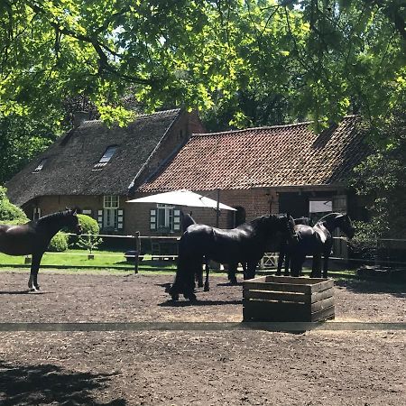 De Swaenhoeve Zoersel Bagian luar foto