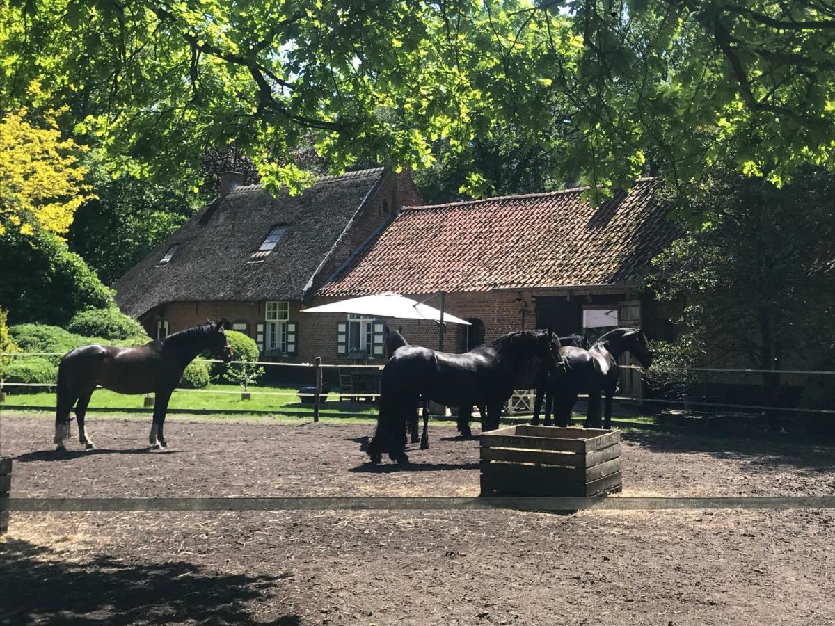 De Swaenhoeve Zoersel Bagian luar foto
