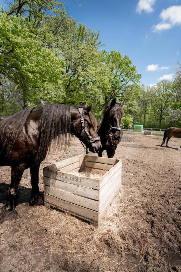 De Swaenhoeve Zoersel Bagian luar foto