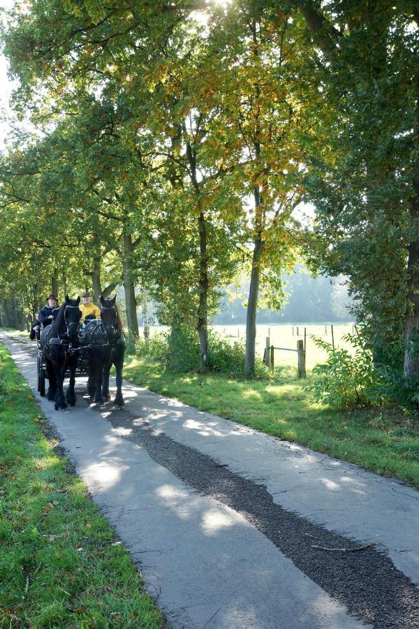 De Swaenhoeve Zoersel Bagian luar foto