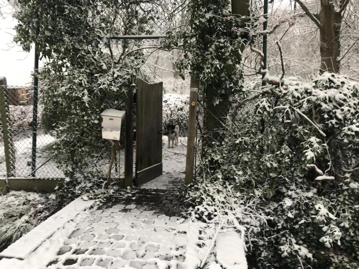 De Swaenhoeve Zoersel Bagian luar foto