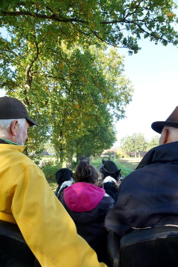 De Swaenhoeve Zoersel Bagian luar foto