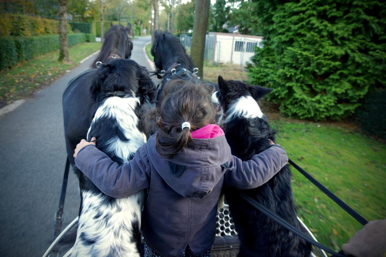 De Swaenhoeve Zoersel Bagian luar foto