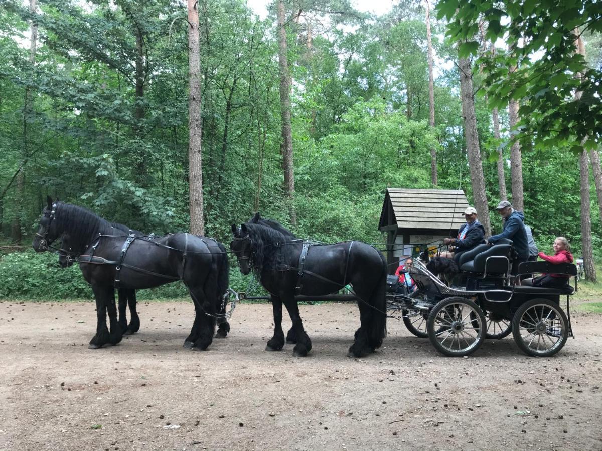 De Swaenhoeve Zoersel Bagian luar foto