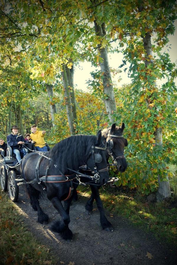 De Swaenhoeve Zoersel Bagian luar foto