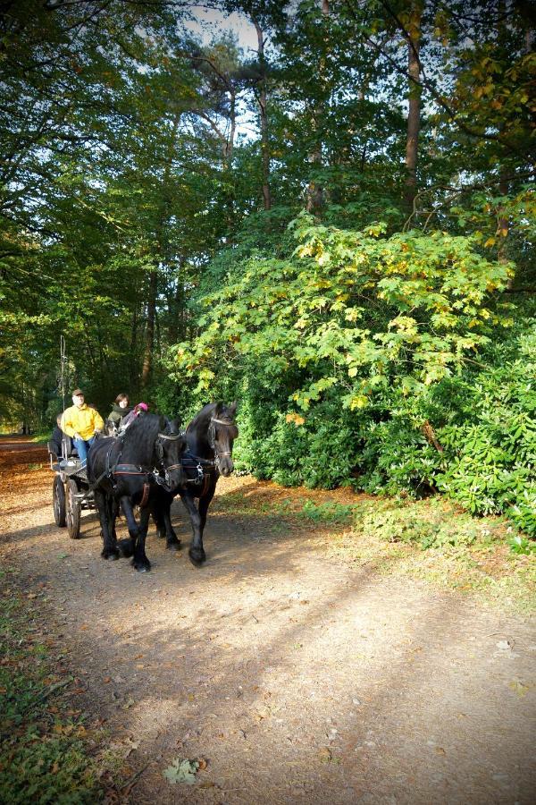 De Swaenhoeve Zoersel Bagian luar foto