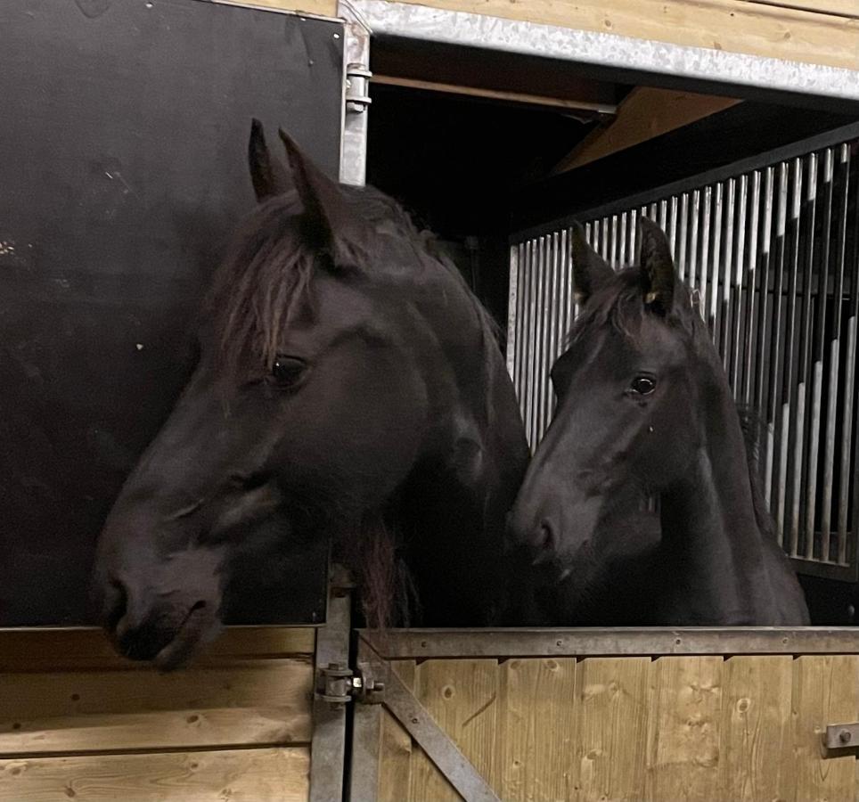 De Swaenhoeve Zoersel Bagian luar foto